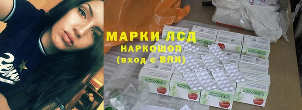 индика Белоозёрский