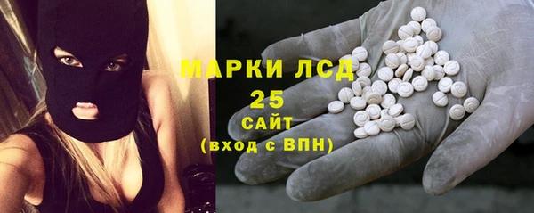 индика Белоозёрский