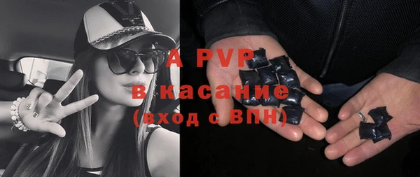 индика Белоозёрский
