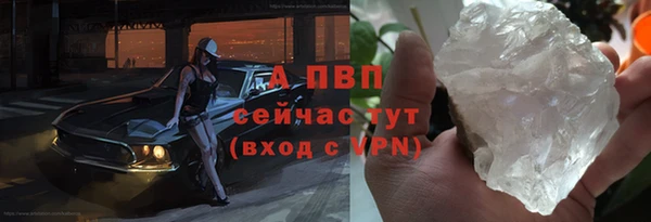 индика Белоозёрский