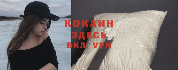 индика Белоозёрский