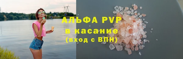 индика Белоозёрский