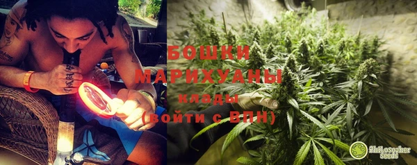 индика Белоозёрский
