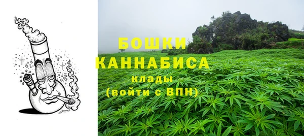 индика Белоозёрский