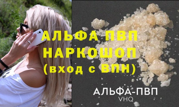 сатива Белокуриха