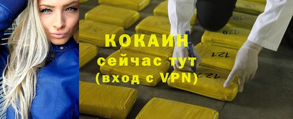 сатива Белокуриха